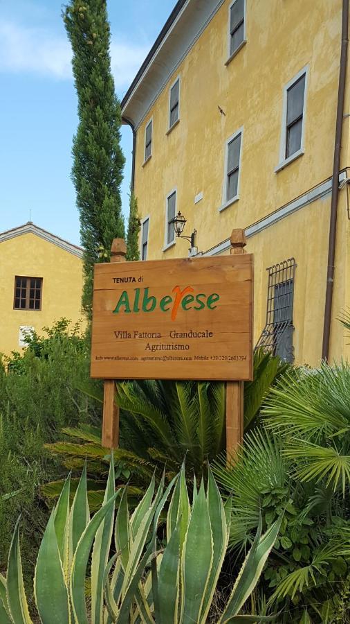 Terre Regionali Toscane Alberese Eksteriør billede